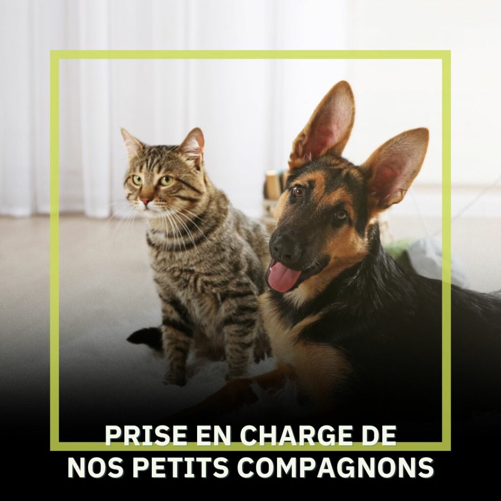 Pour nos petits compagnons