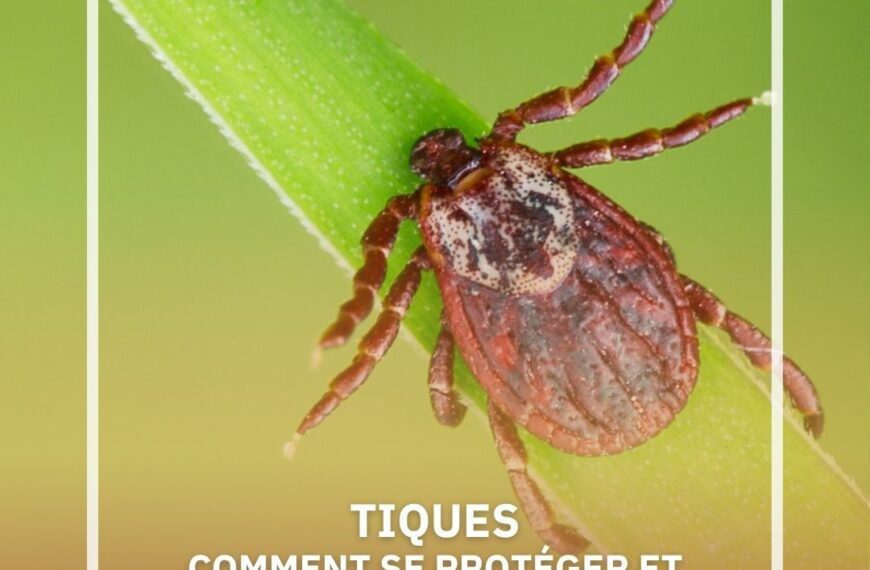 TIQUES : COMMENT S’EN PROTÉGER ET RÉAGIR EN CAS DE PIQÛRE ?