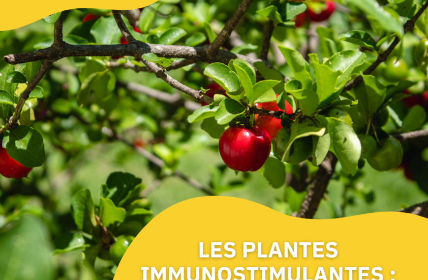 Les plantes immunostimulantes