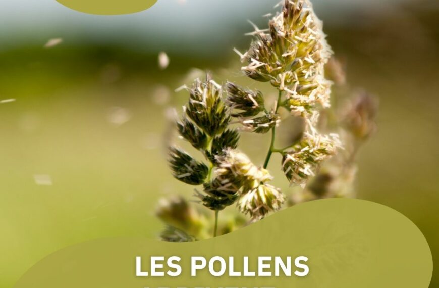 Les pollens arrivent… êtes-vous prêts ?