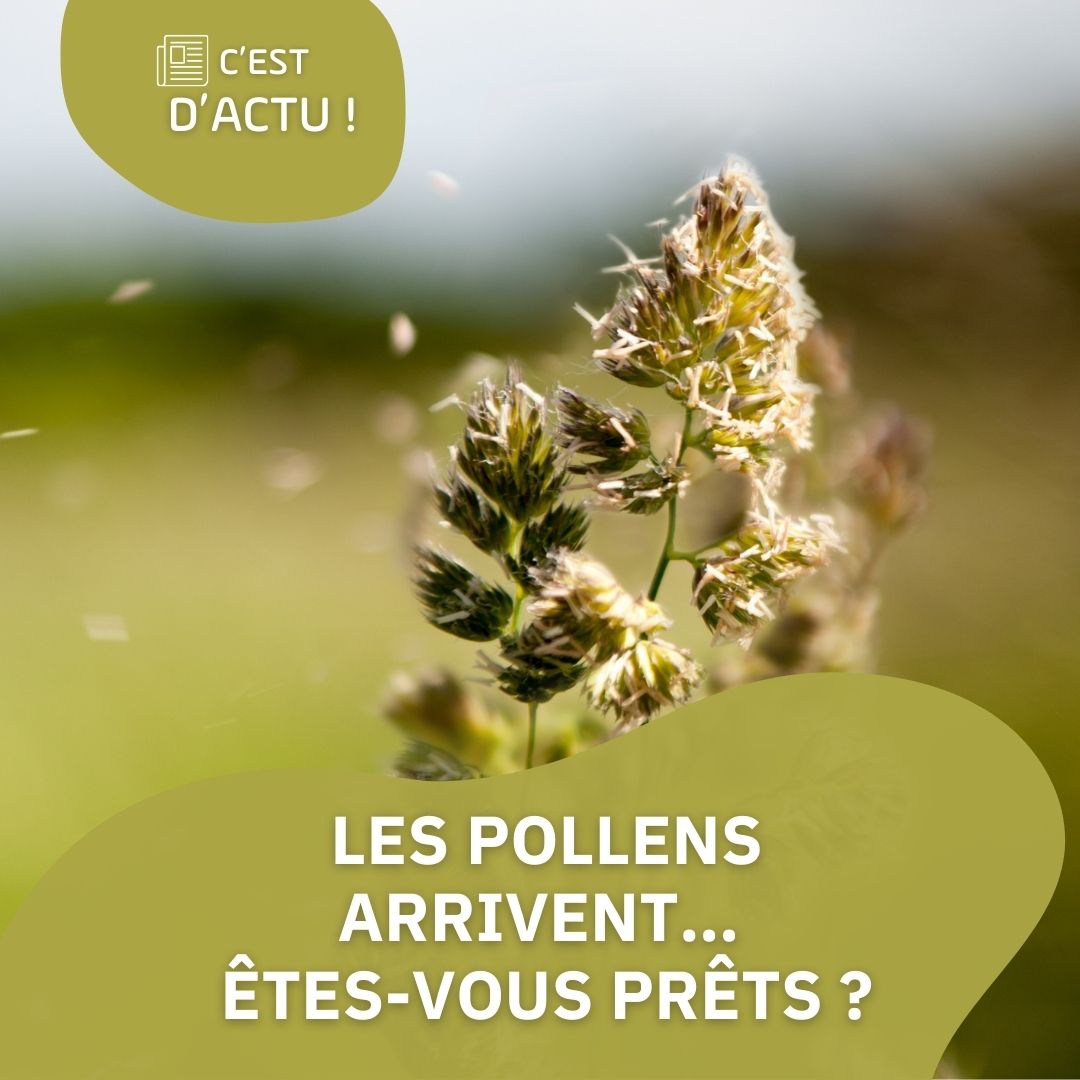 Les pollens arrivent… êtes-vous prêts ?